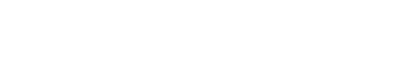 Survive a Stroke Foundation