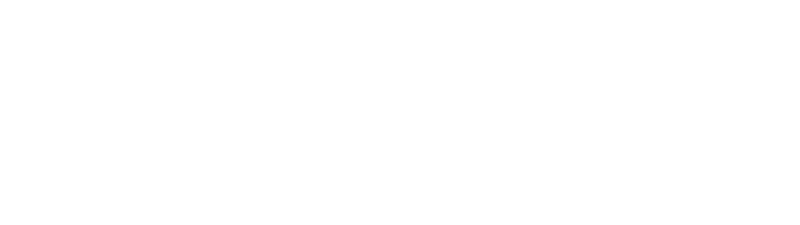 Survive a Stroke Foundation